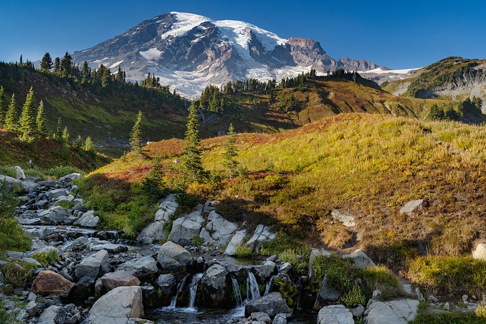 Myrtle Falls at Paradise Meadow in Mount Rainier National Park-Washington State-USA